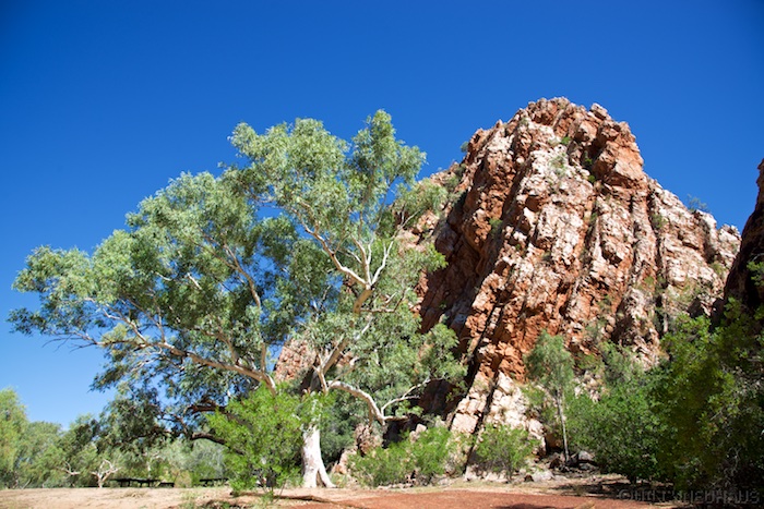 Australia south 14 147