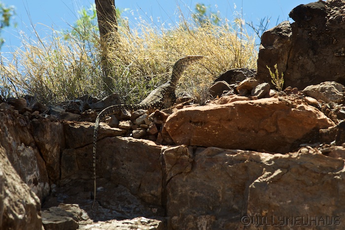 Australia south 14 150