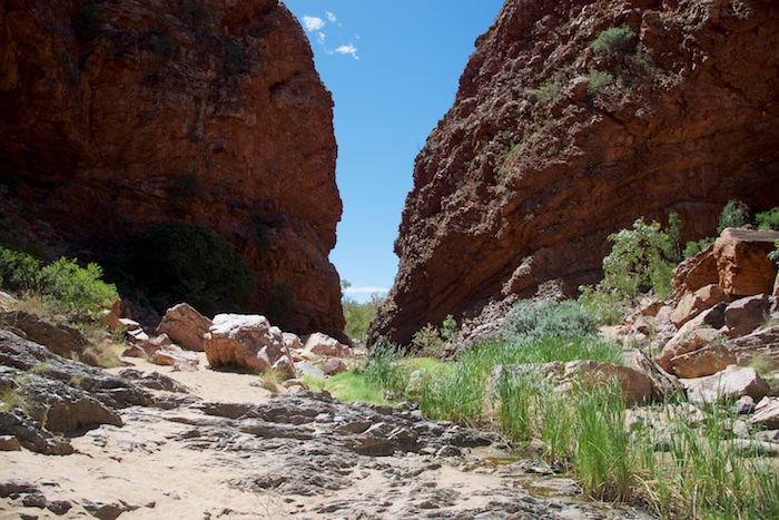 Australia south 14 154