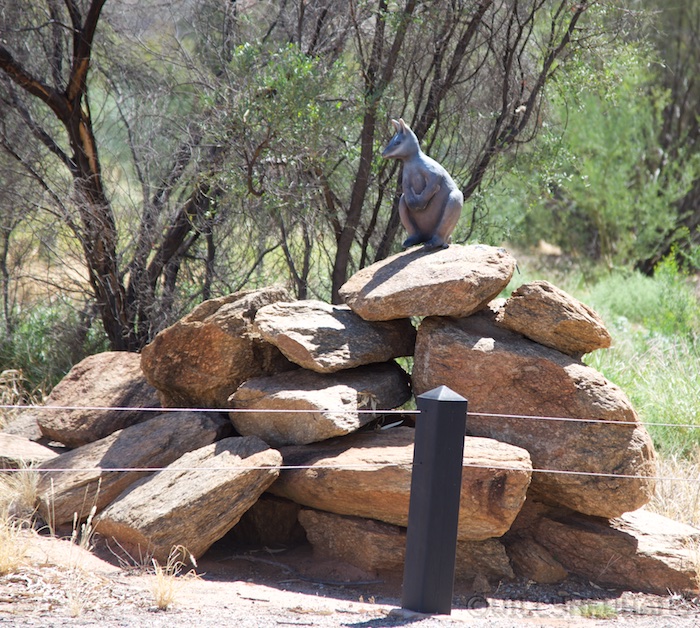 Australia south 14 156