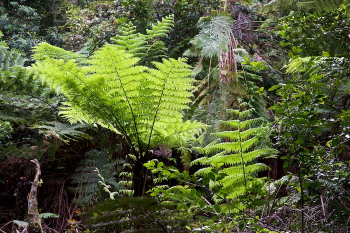 Australia south 14 47