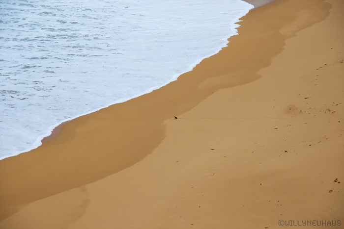 Australia south 14 92