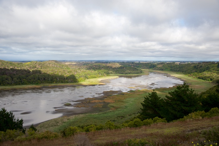 Australia south 14 98