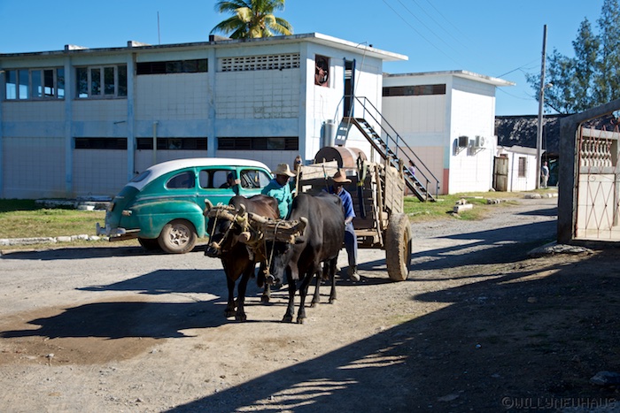 Cuba 14 16