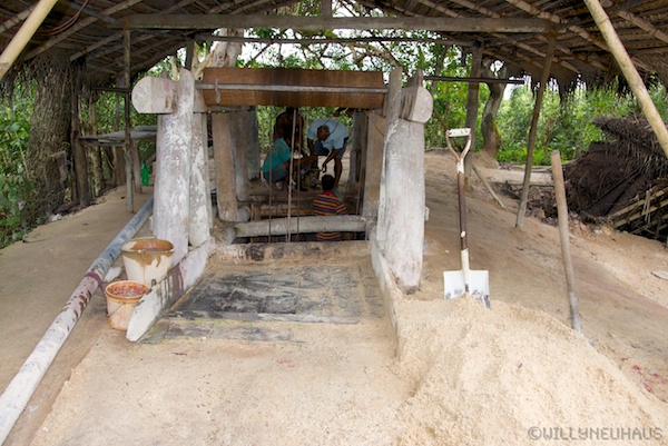 MoonstoneSriLanka 002